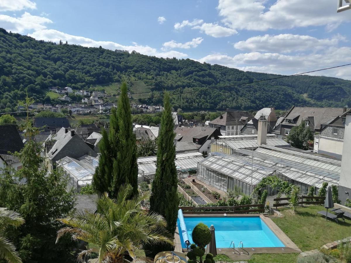 Weingut Stiftshof Hotel Enkirch Eksteriør billede