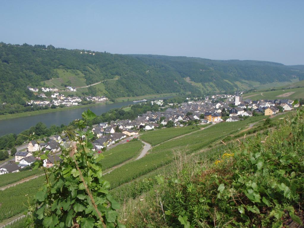 Weingut Stiftshof Hotel Enkirch Eksteriør billede