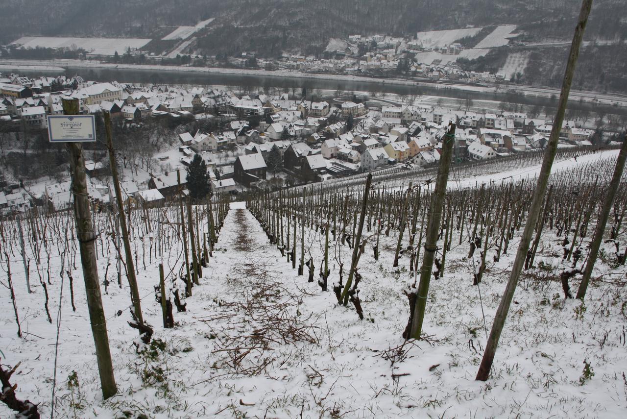 Weingut Stiftshof Hotel Enkirch Eksteriør billede