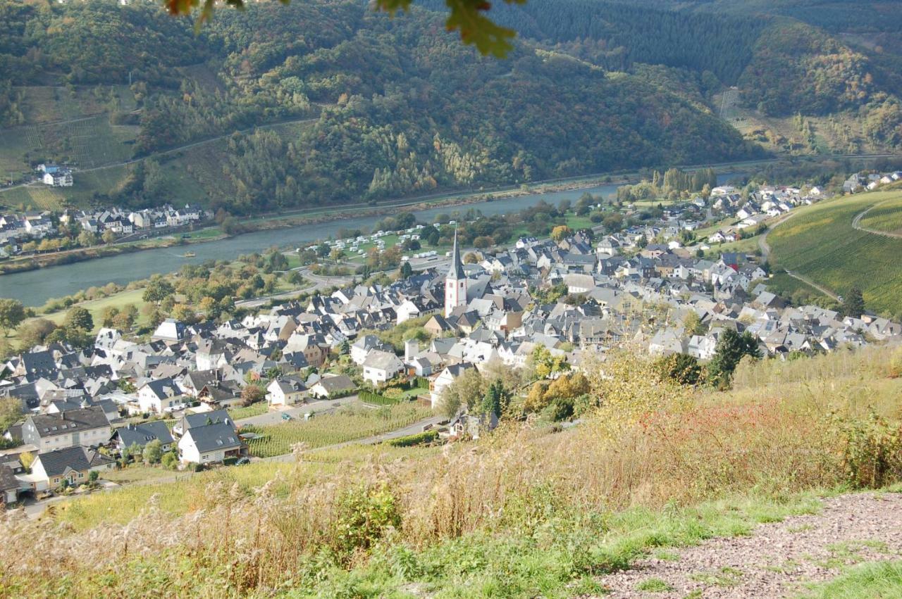Weingut Stiftshof Hotel Enkirch Eksteriør billede