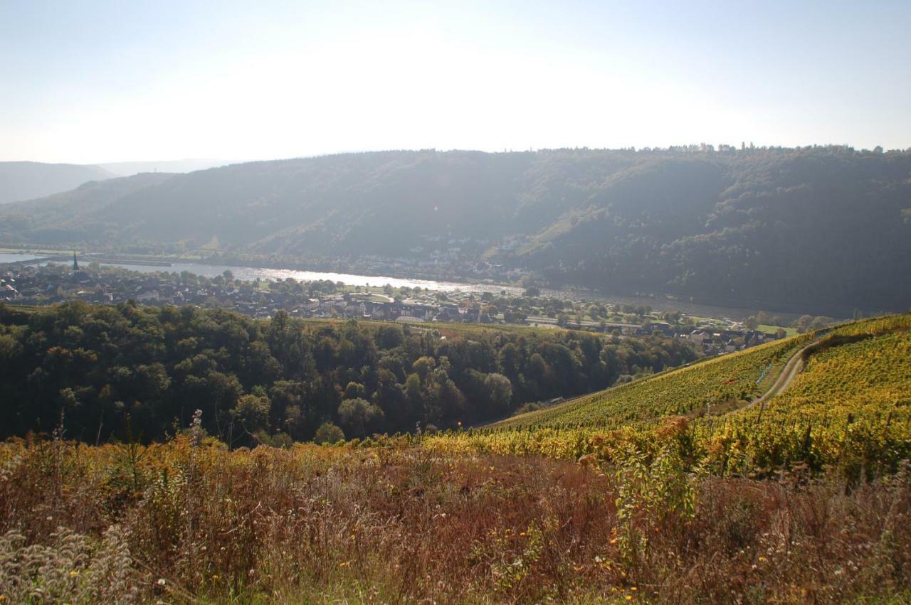 Weingut Stiftshof Hotel Enkirch Eksteriør billede